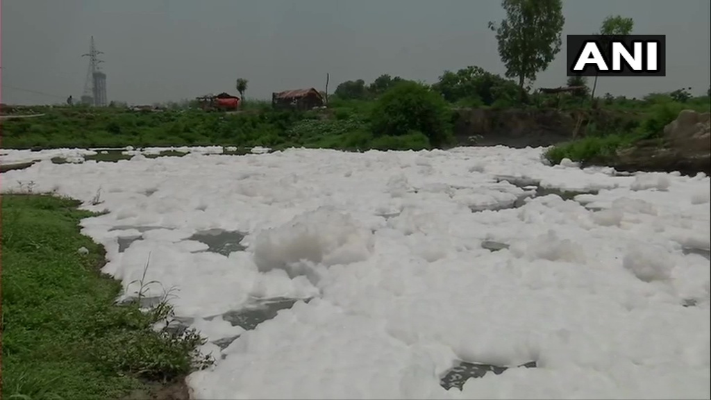 യമുന നദിക്കരയില്‍ അടിഞ്ഞുകൂടിയ വിഷാംശമുള്ള പത: ദില്ലിയിലെ കാളിന്തി കുഞ്ചില്‍ നിന്നുള്ള ദൃശ്യങ്ങള്‍ കാണാം