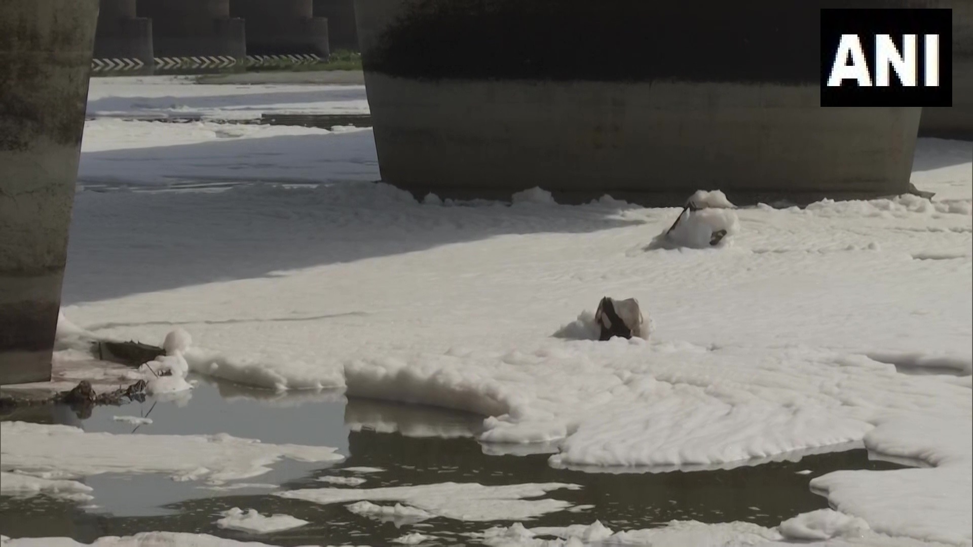 യമുന നദിക്കരയില്‍ അടിഞ്ഞുകൂടിയ വിഷാംശമുള്ള പത: ദില്ലിയിലെ കാളിന്തി കുഞ്ചില്‍ നിന്നുള്ള ദൃശ്യങ്ങള്‍ കാണാം