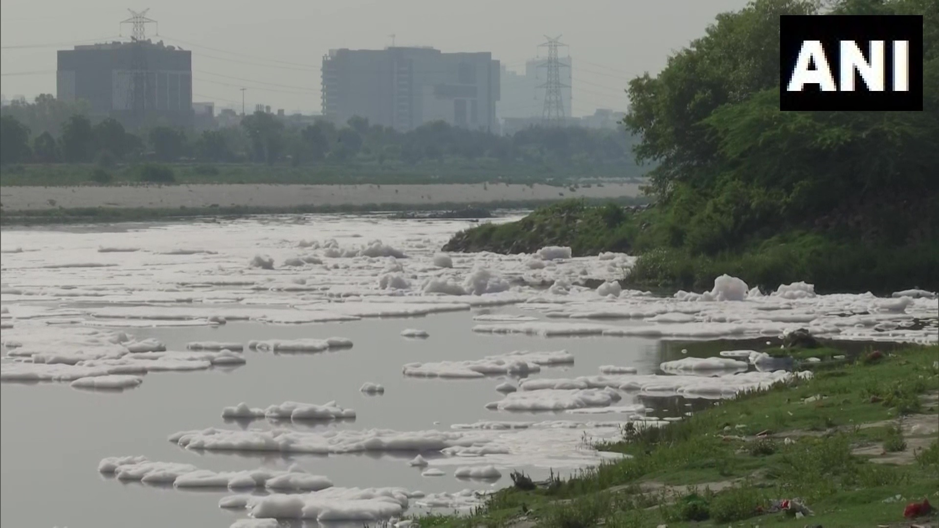 യമുന നദിക്കരയില്‍ അടിഞ്ഞുകൂടിയ വിഷാംശമുള്ള പത: ദില്ലിയിലെ കാളിന്തി കുഞ്ചില്‍ നിന്നുള്ള ദൃശ്യങ്ങള്‍ കാണാം