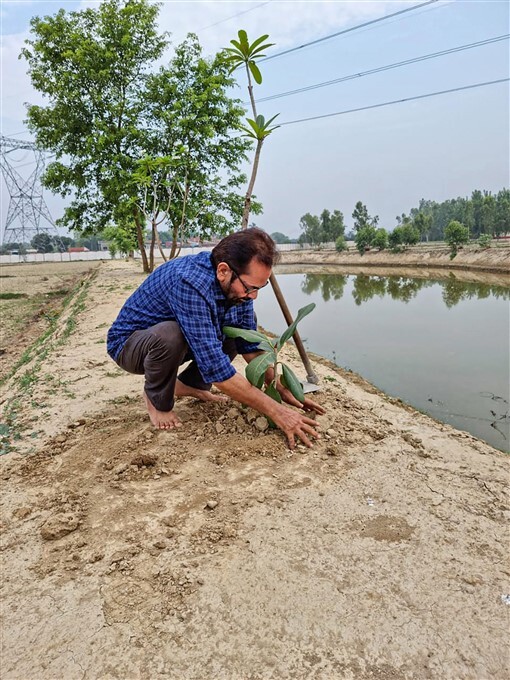 World Environment Day, 2021