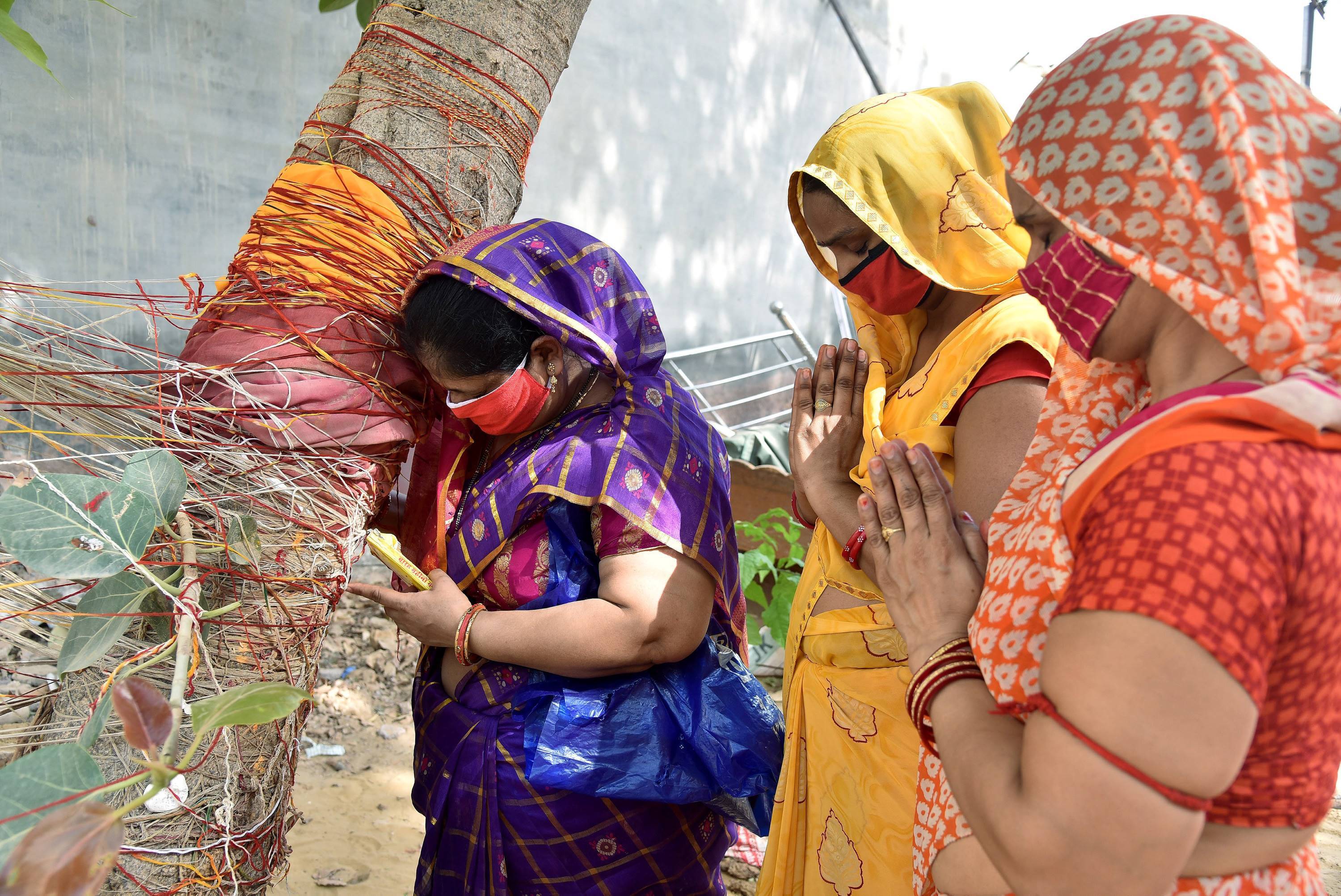 വട് സാവിത്രി പൂജ ആഘോഷത്തിന്റെ ചിത്രങ്ങള്‍ കാണാം