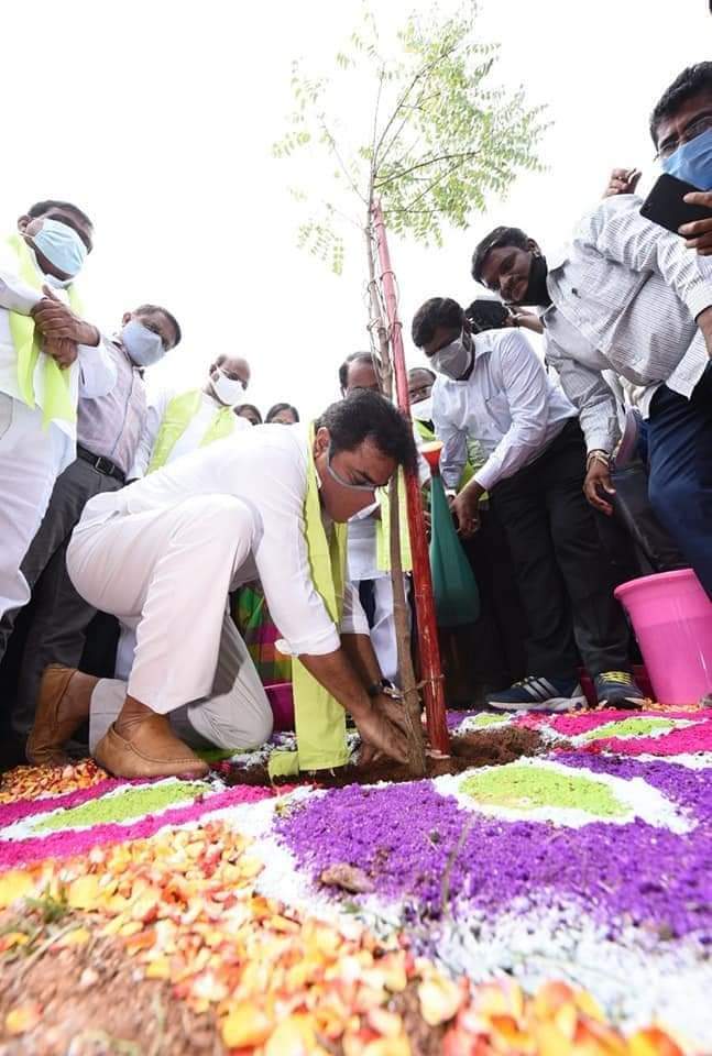 హరితహారం కార్యక్రమంలో భాగంగా మొక్కలను నాటిన మంత్రి కేటీఆర్
