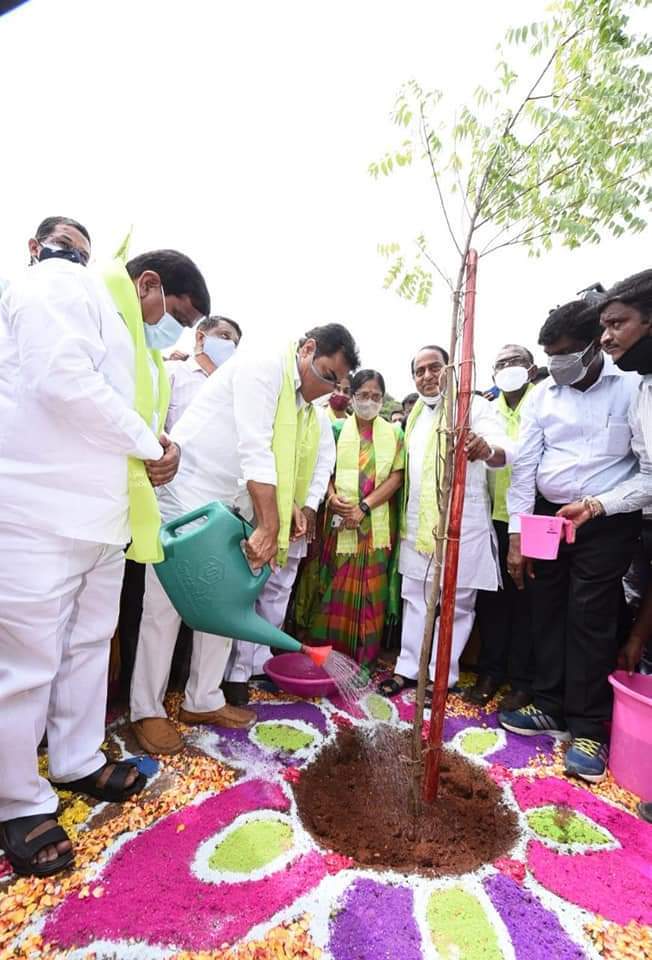 హరితహారం కార్యక్రమంలో భాగంగా మొక్కలను నాటిన మంత్రి కేటీఆర్