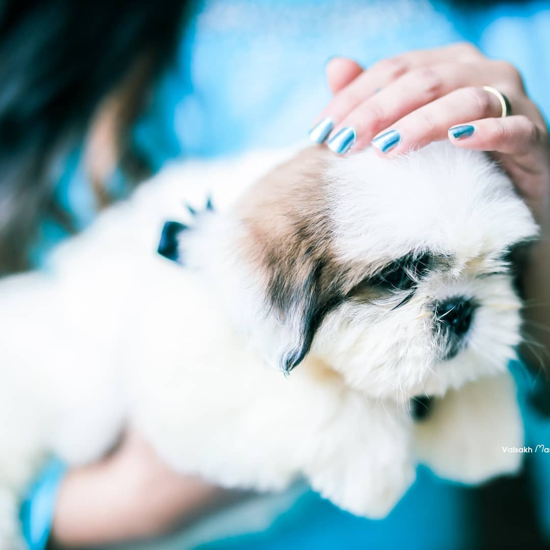 ക്യൂട്ടാണ് മുക്തയും മകളും, വൈറലായി താരത്തിന്റെ മകളുടെ പിറന്നാള്‍ ആഘോഷ ചിത്രങ്ങള്‍