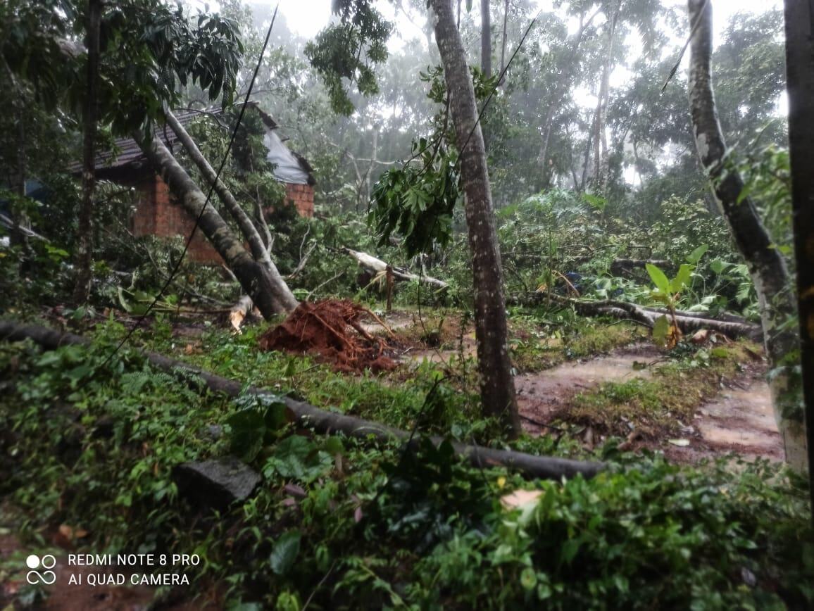മരങ്ങള്‍ റോഡിലും വീടിന് മുകളിലും, കനത്ത മഴയില്‍ എറണാകുളത്ത് ദുരിതം, ചിത്രങ്ങളിലൂടെ