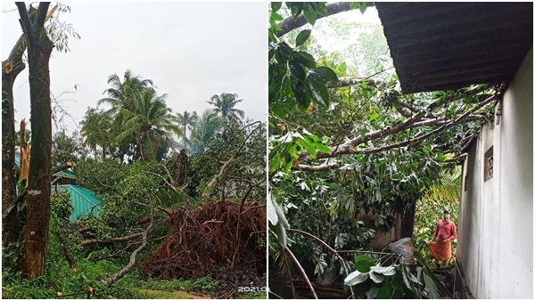 മരങ്ങള്‍ റോഡിലും വീടിന് മുകളിലും, കനത്ത മഴയില്‍ എറണാകുളത്ത് ദുരിതം, ചിത്രങ്ങളിലൂടെ