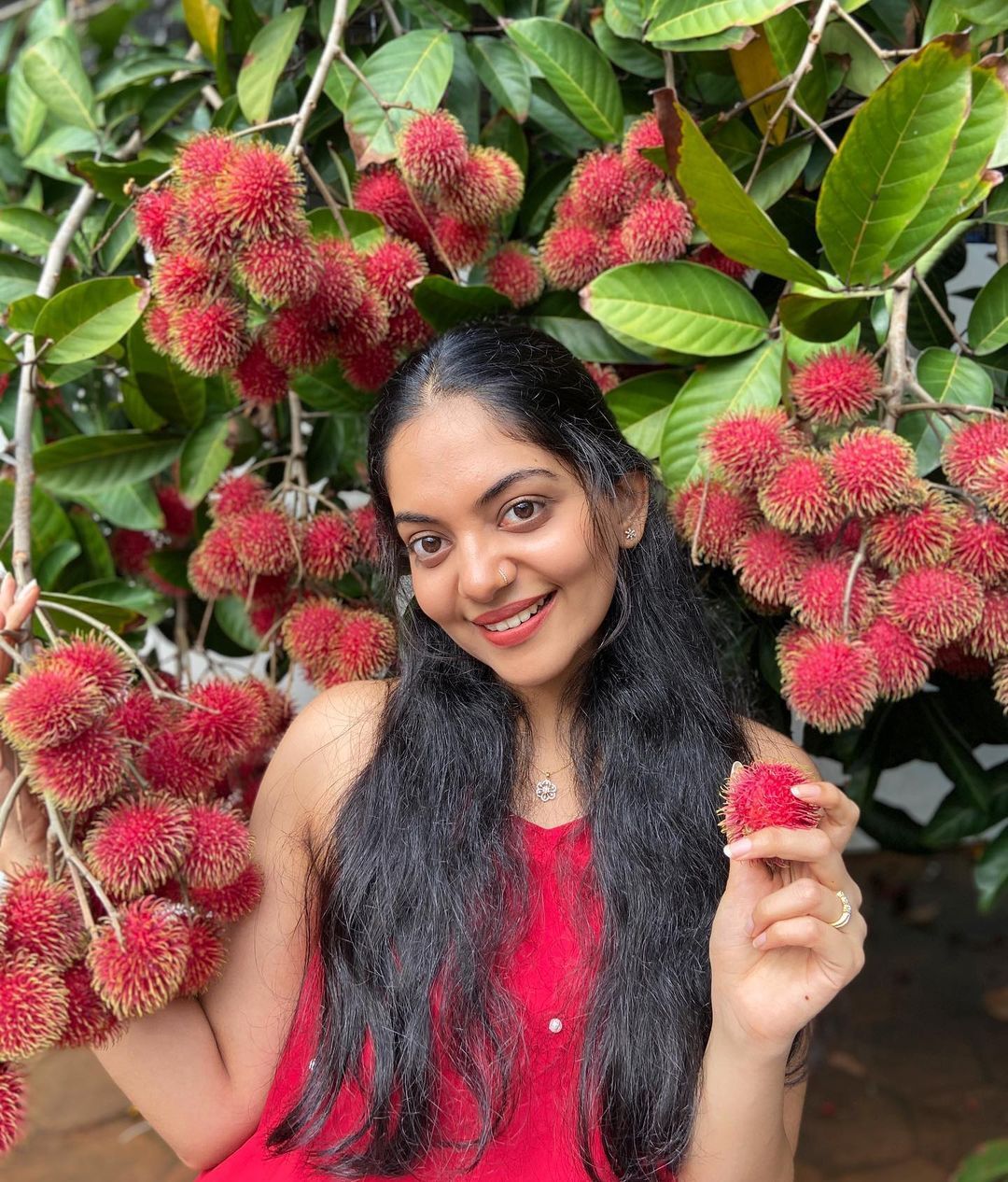  വീണ്ടുമൊരു റംബുട്ടാൻ കാലം; 'അടിപൊളി' ചിത്രങ്ങളുമായി അഹാന