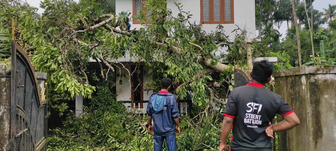 വീടിനെ അപകടത്തിലാക്കി ചാഞ്ഞ് മരം, രക്ഷയ്ക്ക് എസ്എഫ്‌ഐ പ്രവര്‍ത്തകര്‍- ചിത്രങ്ങളിലൂടെ