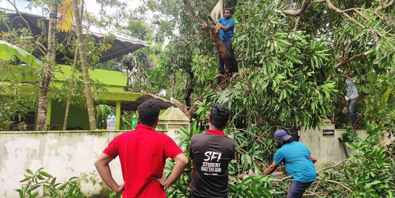 വീടിനെ അപകടത്തിലാക്കി ചാഞ്ഞ് മരം, രക്ഷയ്ക്ക് എസ്എഫ്‌ഐ പ്രവര്‍ത്തകര്‍- ചിത്രങ്ങളിലൂടെ