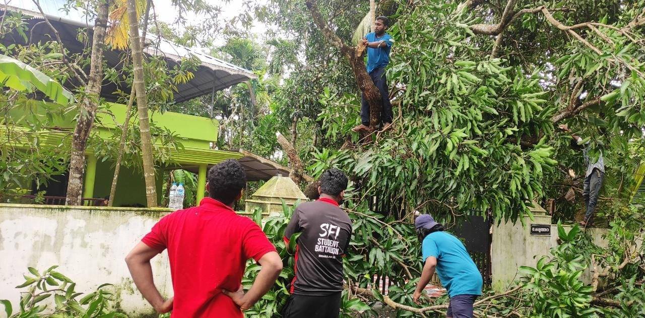 വീടിനെ അപകടത്തിലാക്കി ചാഞ്ഞ് മരം, രക്ഷയ്ക്ക് എസ്എഫ്‌ഐ പ്രവര്‍ത്തകര്‍- ചിത്രങ്ങളിലൂടെ