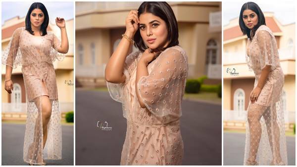 ബോള്‍ഡ് ലുക്കില്‍ നടി ഷംന കാസിം; ഫോട്ടോഷൂട്ട് സോഷ്യല്‍ മീഡിയയില്‍ വൈറല്‍