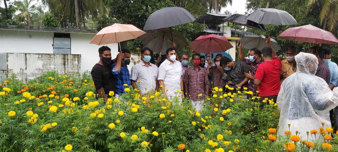 ഓണാഘോഷത്തിന് മറുനാടന്‍ പൂക്കള്‍ വേണ്ട; മലപ്പുറത്തുണ്ട് കണ്ണഞ്ചിപ്പിക്കുന്ന പൂക്കൃഷി- ചിത്രങ്ങള്‍ കാണാം