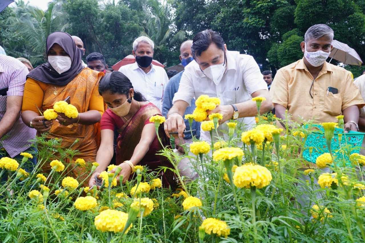 ഓണാഘോഷത്തിന് മറുനാടന്‍ പൂക്കള്‍ വേണ്ട; മലപ്പുറത്തുണ്ട് കണ്ണഞ്ചിപ്പിക്കുന്ന പൂക്കൃഷി- ചിത്രങ്ങള്‍ കാണാം