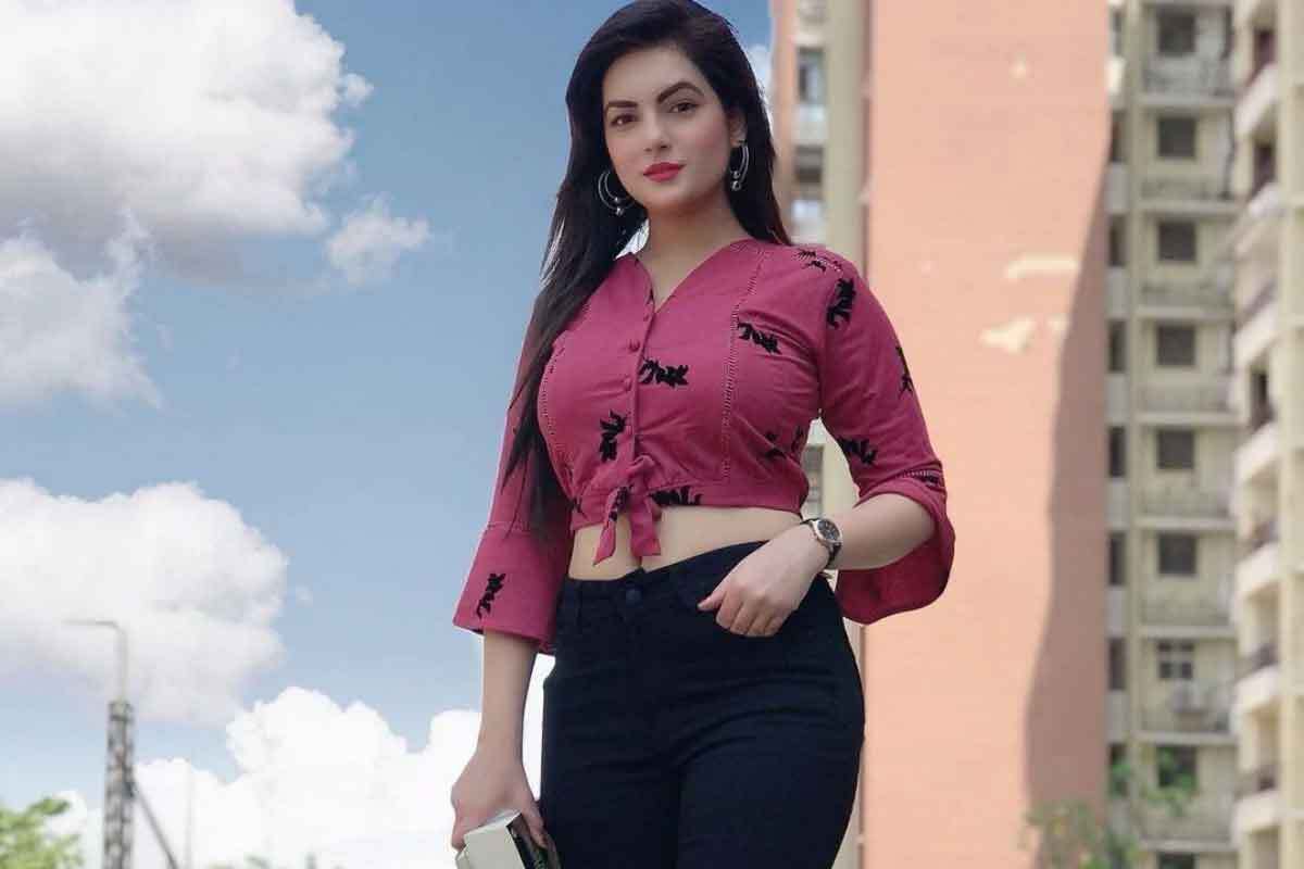 असल जिंदगी में काफी खूबसूरत हैं पंजाबी टीवी सीरियल की विलायती भाभी 