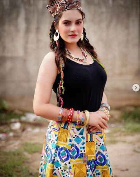 असल जिंदगी में काफी खूबसूरत हैं पंजाबी टीवी सीरियल की विलायती भाभी 