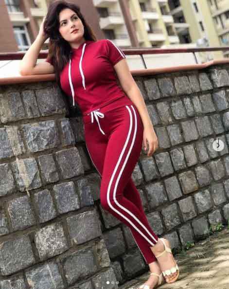 असल जिंदगी में काफी खूबसूरत हैं पंजाबी टीवी सीरियल की विलायती भाभी 