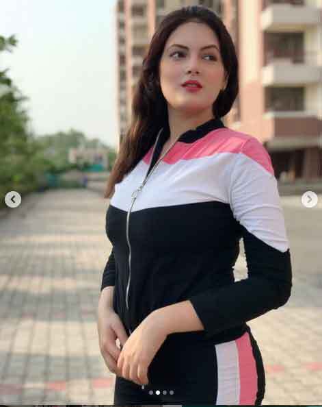 असल जिंदगी में काफी खूबसूरत हैं पंजाबी टीवी सीरियल की विलायती भाभी 