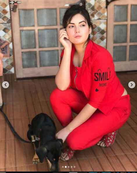 असल जिंदगी में काफी खूबसूरत हैं पंजाबी टीवी सीरियल की विलायती भाभी 