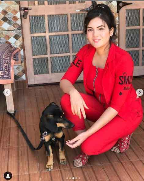 असल जिंदगी में काफी खूबसूरत हैं पंजाबी टीवी सीरियल की विलायती भाभी 