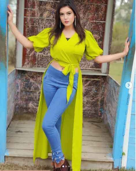 असल जिंदगी में काफी खूबसूरत हैं पंजाबी टीवी सीरियल की विलायती भाभी 