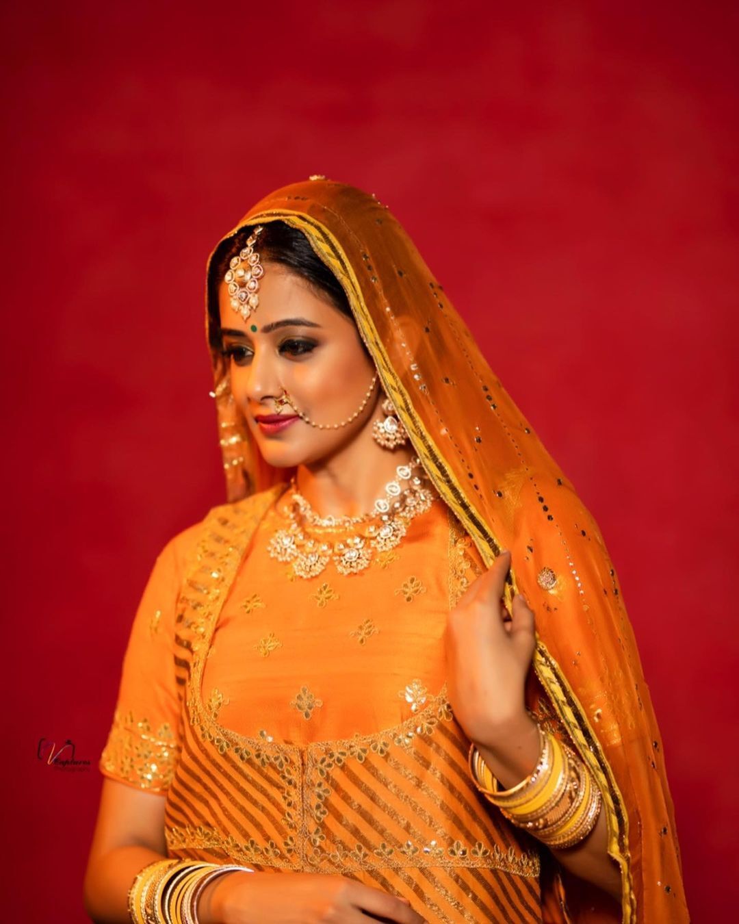 കിടിലം മേക്ക്ഓവറിൽ പ്രിയമണി; ഫൊട്ടോഷൂട്ട് വൈറൽ