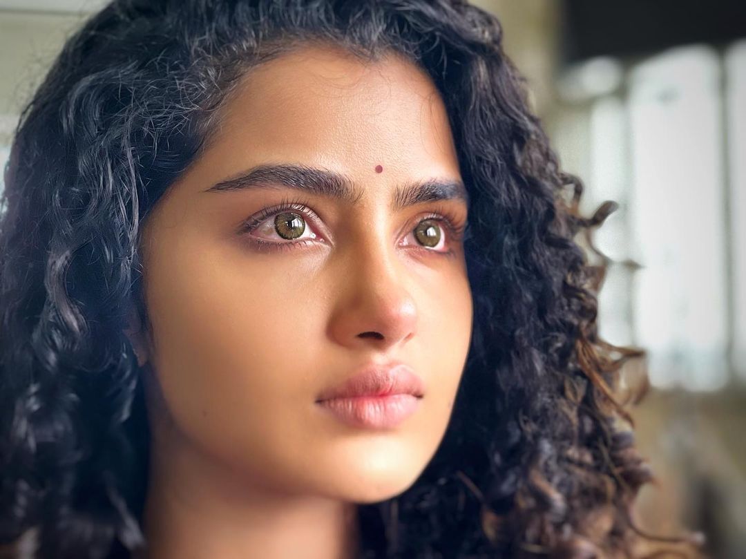 ആ ചുരണ്ട മുടിയും സാരി ലുക്കും... നടി അനുപ പരമേശ്വരന്റെ പുതിയ ചിത്രം ഏറ്റെടുത്ത് ആരാധകർ