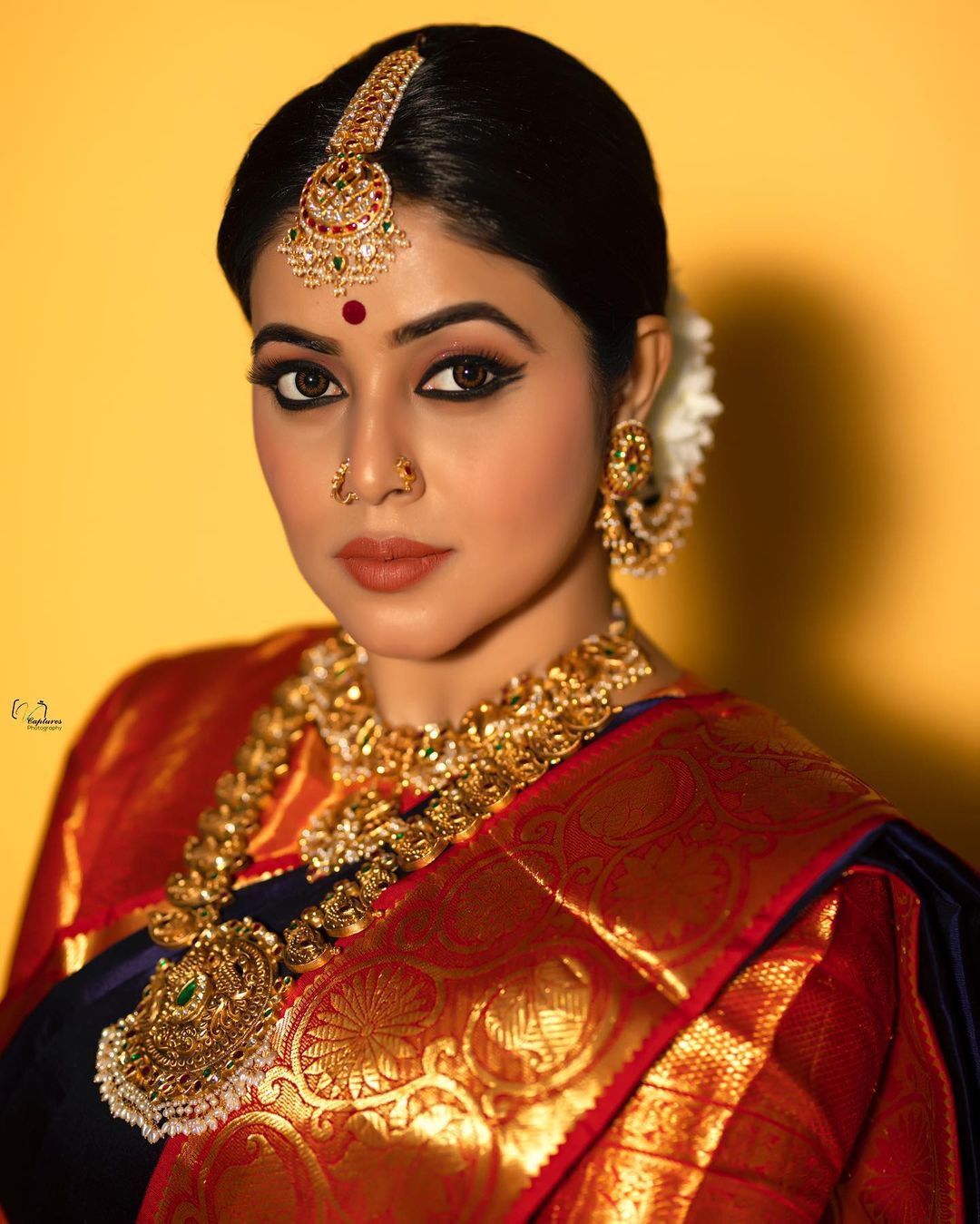 ക്ലാസിക് ലുക്കിൽ ഷംന കാസിം, കിടിലൻ ഫോട്ടോഷൂട്ട് ചിത്രങ്ങൾ