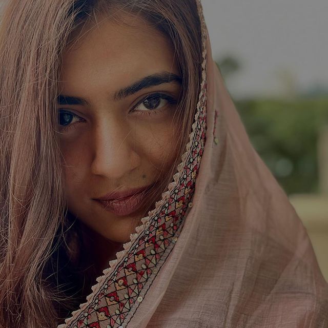 പൊട്ടിച്ചിരിച്ച് നസ്രിയയും മേഘ്‌ന രാജും; കണ്ണെടുക്കാതെ റയാന്‍ രാജ് സര്‍ജ, വൈറല്‍ ചിത്രങ്ങള്‍ കാണാം