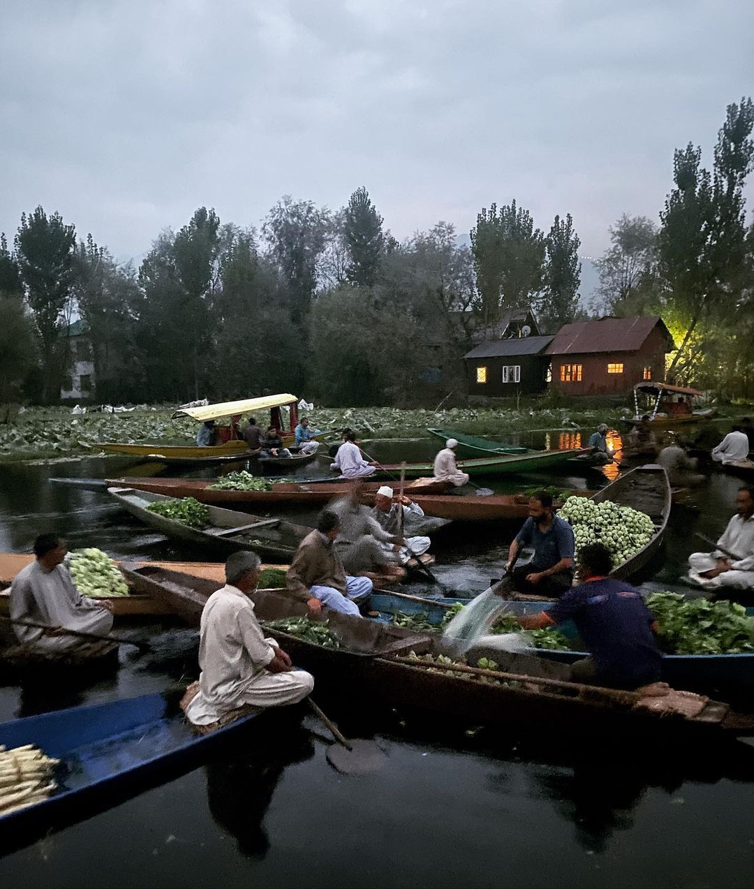 നിമിഷ സജയന്‍ കശ്മീരിലെ ദാല്‍ തടാകത്തില്‍; ചിത്രങ്ങള്‍ വൈറല്‍