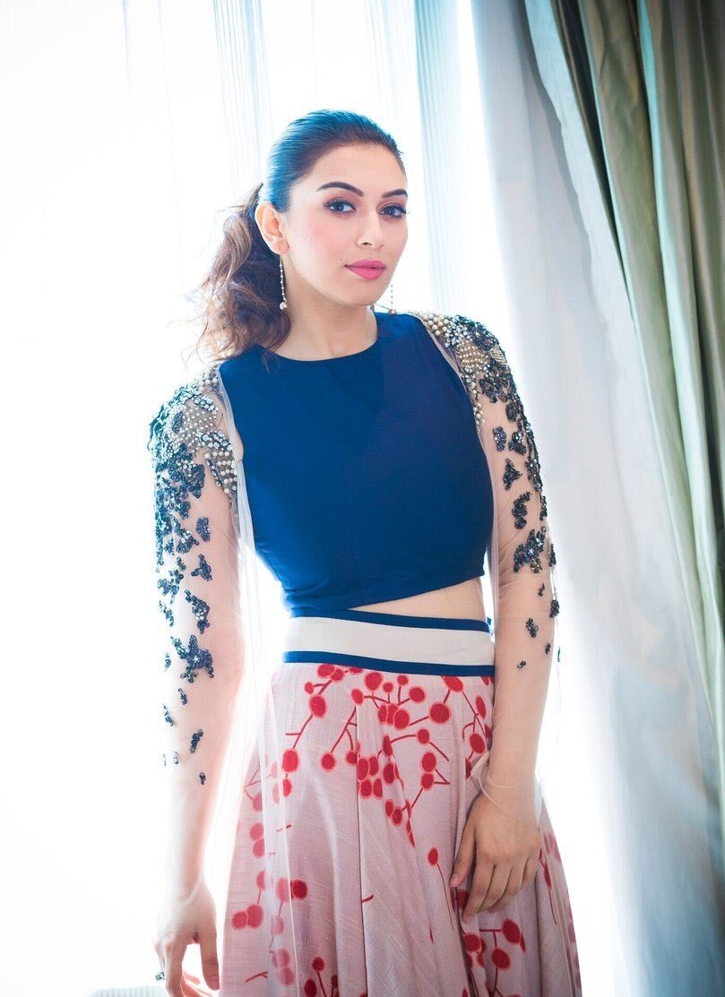  Hansika Motwani:  సన్యాసులను సైతం నిద్ర పోకుండా చేస్తున్న హాట్ బ్యూటీ.. బికినీతో అందాల విందు చేస్తున్న బొద్దుగుమ్మ...(ఫొటోస్)