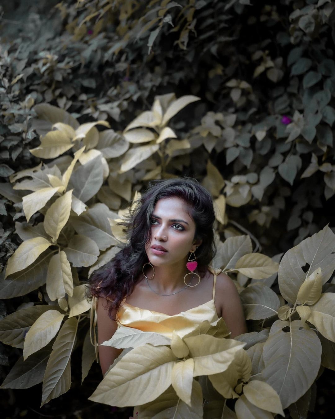 പുതുപുത്തന്‍ ലുക്കില്‍ അമല പോള്‍; ചിത്രങ്ങള്‍ ഏറ്റെടുത്ത് സോഷ്യല്‍ മീഡിയ, വൈറല്‍ ചിത്രങ്ങള്‍