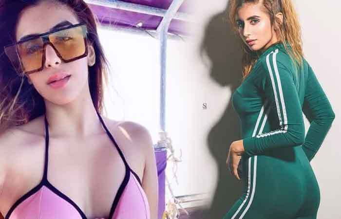 जानिए कौन हैं बिग बॉस 15 में Hotness का तड़का लगाने आ रहीं मीशा अय्यर