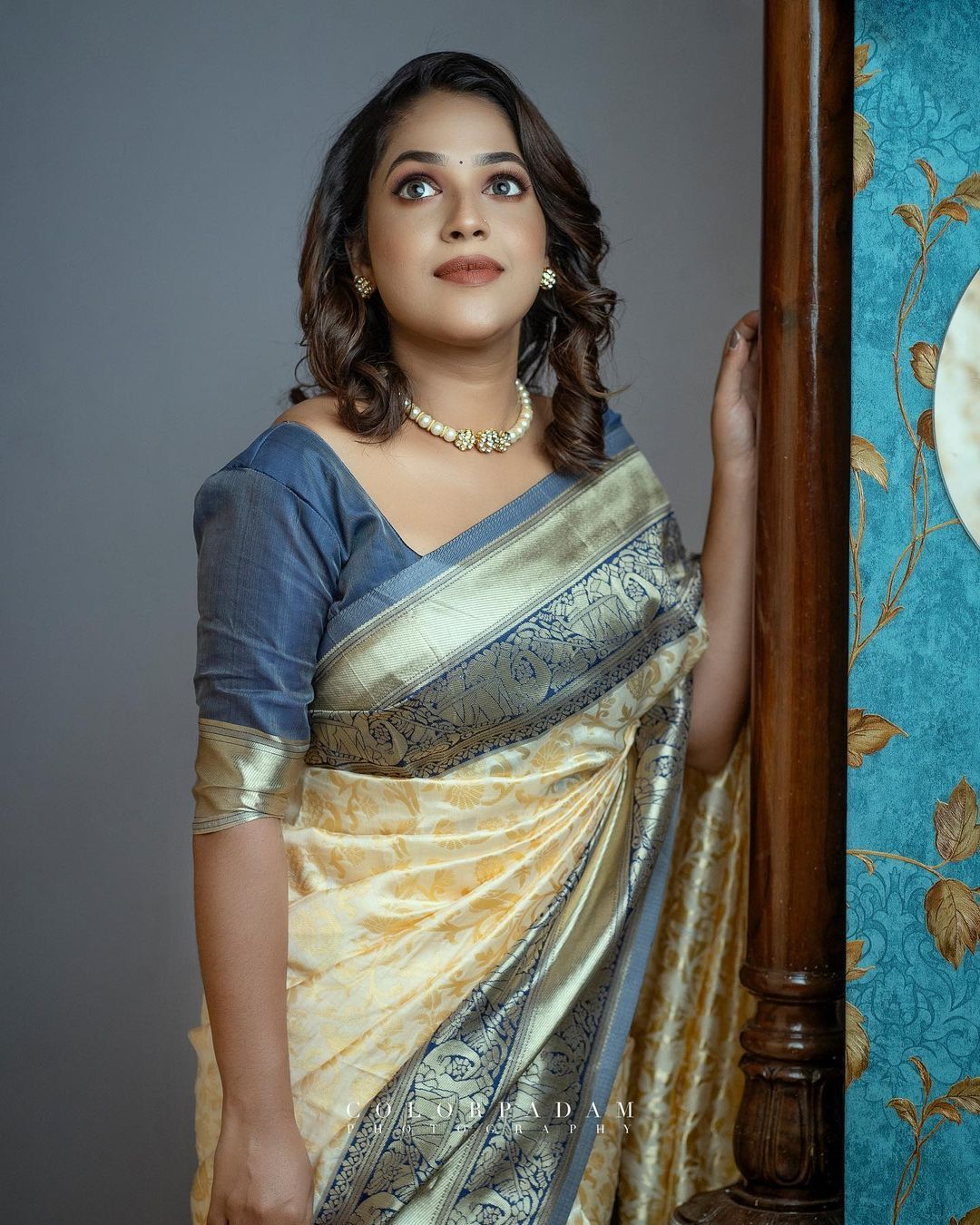 'ചിരികണ്ടാൽ മതി കണ്ണെടുക്കില്ല'; വയലറ്റ് സാരിയിൽ അതീവ സുന്ദരിയായി സീരിയൽ താരം അമൃത നായർ