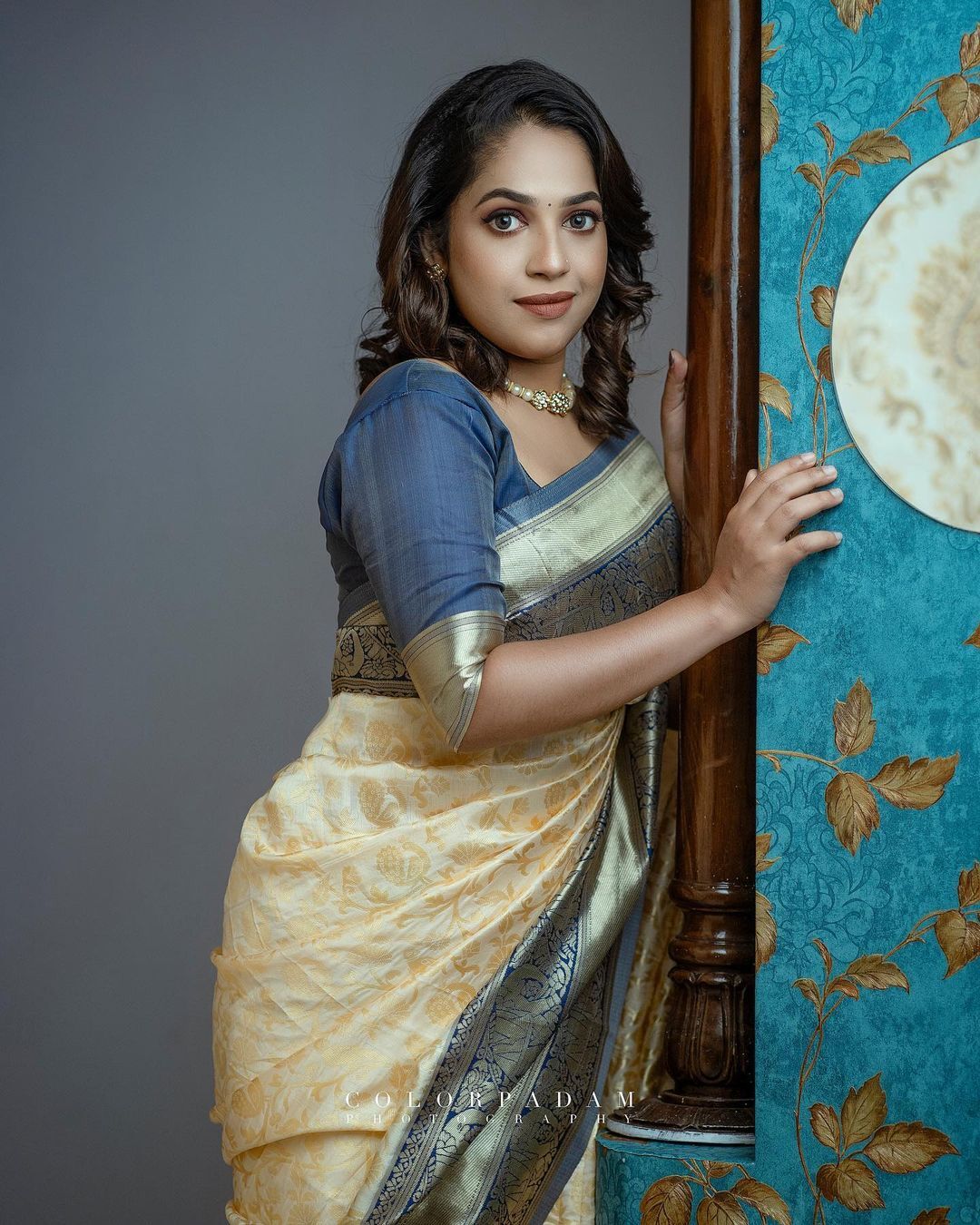'ചിരികണ്ടാൽ മതി കണ്ണെടുക്കില്ല'; വയലറ്റ് സാരിയിൽ അതീവ സുന്ദരിയായി സീരിയൽ താരം അമൃത നായർ