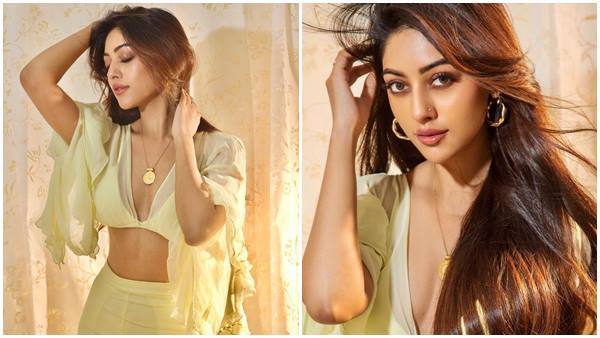 ഹോട്ട് ലുക്കില്‍ വീണ്ടും ഞെട്ടിച്ച് അനു ഇമ്മാനുവല്‍; ഫോട്ടോഷൂട്ട് പൊളിച്ചെന്ന് ആരാധകര്‍