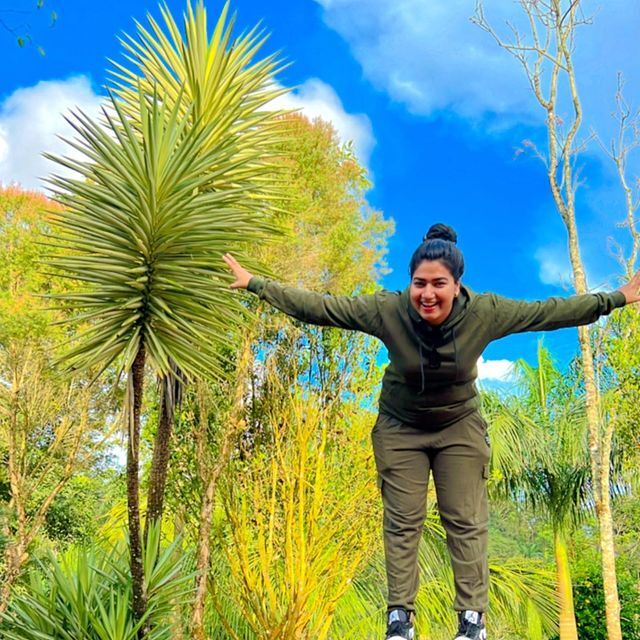 ജഗജില്ലി സ്‌റ്റൈലില്‍ ഗ്രേസ് ആന്റണി!! റേഷന്‍ അരി വാങ്ങാനെത്തിയതാണോ ചേച്ചി എന്ന് കമന്റ്