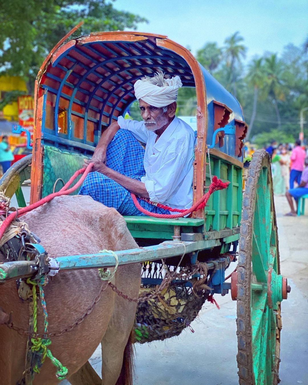 പളനിയില്‍ നിന്നുള്ള ചിത്രങ്ങളുമായി നിമിഷ സജയന്‍: ഏറ്റെടുത്ത് ആരാധകർ