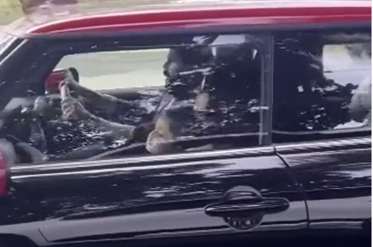  മിനി കൂപ്പറിൽ പറന്ന് ദിലീപും കാവ്യയും മഹാലക്ഷ്മിയും... മീനാക്ഷി  എവിടെ?