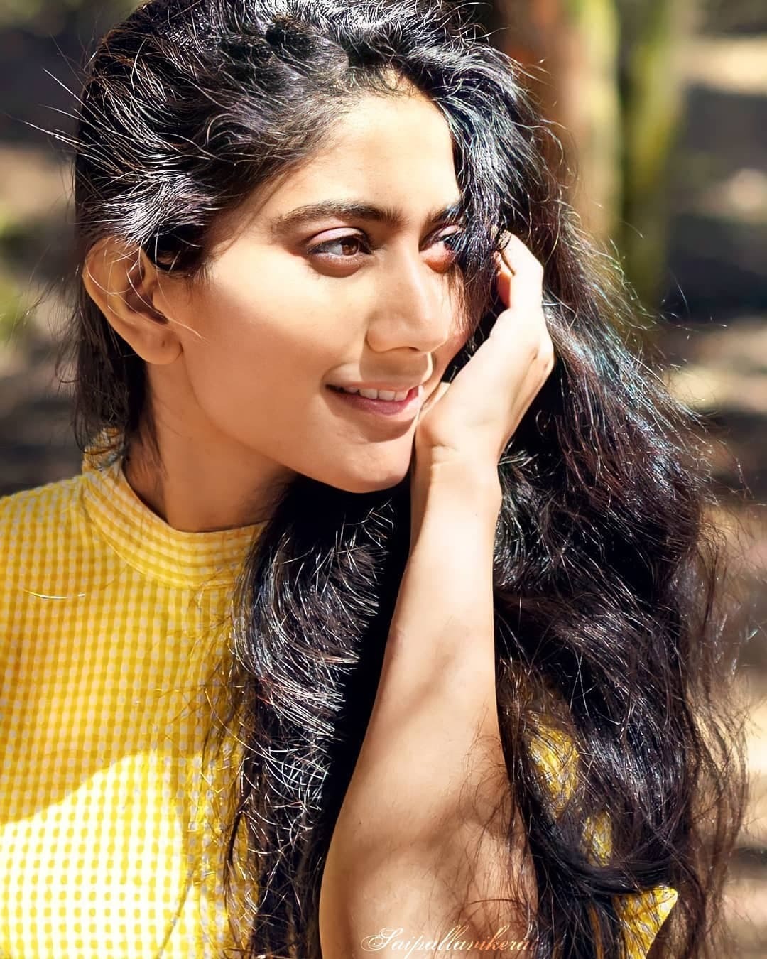 ചിത്രശലഭം പോൽ... സായ് പല്ലവിയുടെ ചിത്രങ്ങൾ വൈറൽ