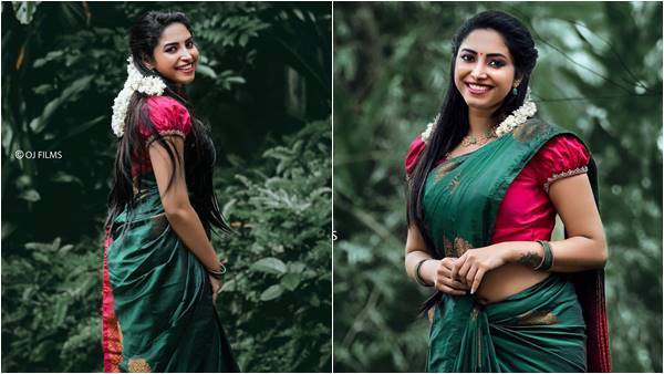 നാടന്‍ ചിത്രങ്ങളും സൗന്ദര്യവും ആഗ്രഹിക്കുന്ന ചില ആളുകളും ഉണ്ടിവിടെ; അമേയ.. പച്ചകിളി തന്നെയെന്ന് സോഷ്യല്‍ മീഡിയ