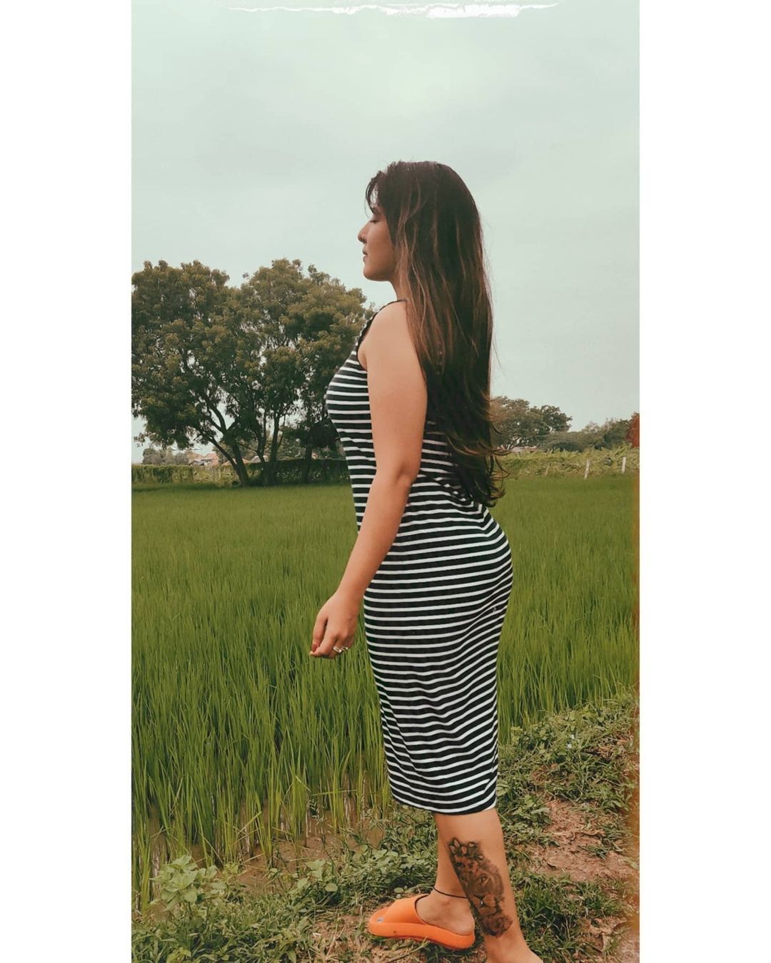 പിങ്ക് ഗേളായി ഉപ്പും മുളകും സുന്ദരി... ചിത്രങ്ങൾ കാണാം