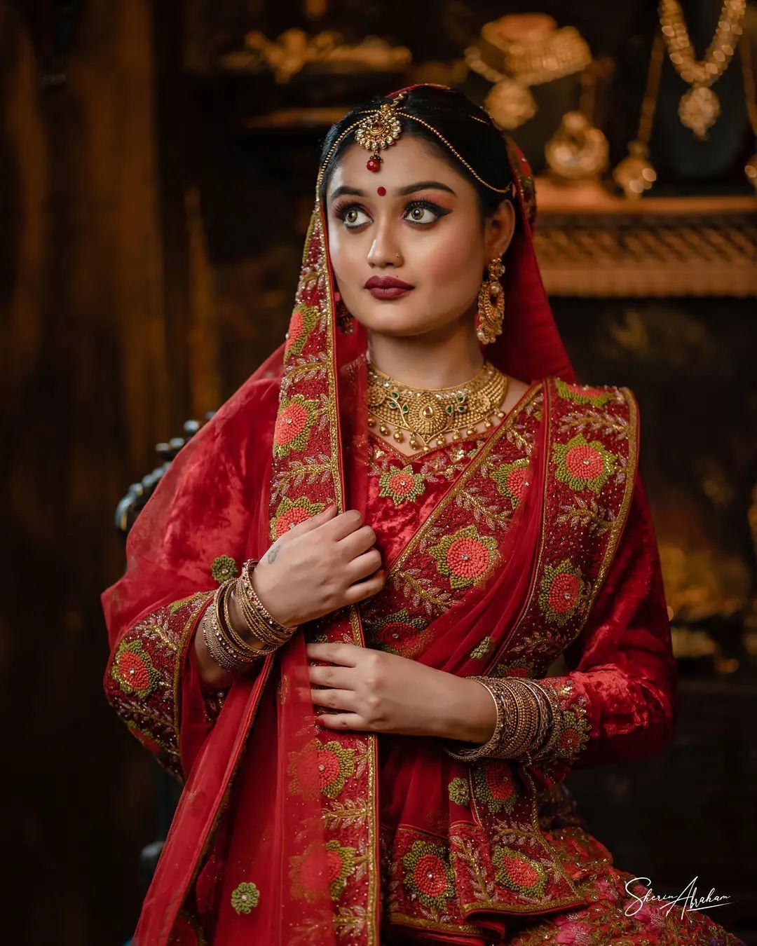 ഏത് കൊട്ടാരത്തിലെ മഹാറാണിയാണ്; ശ്രീലക്ഷ്മിയുടെ പുതിയ ഫോട്ടോഷൂട്ട് ഏറ്റെടുത്ത് ആരാധകര്‍