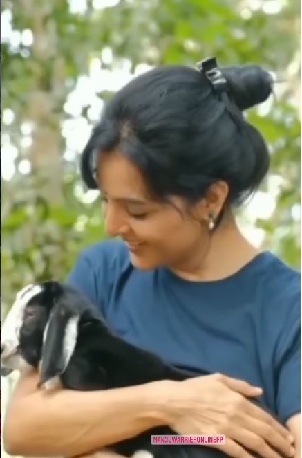 റേഞ്ച് റോവറില്‍ വന്നിറങ്ങി ആട്ടിന്‍കുട്ടിയെ എടുത്ത് തോളിലിട്ട് മഞ്ജു വാര്യർ: വൈറലായി ദൃശ്യങ്ങള്‍