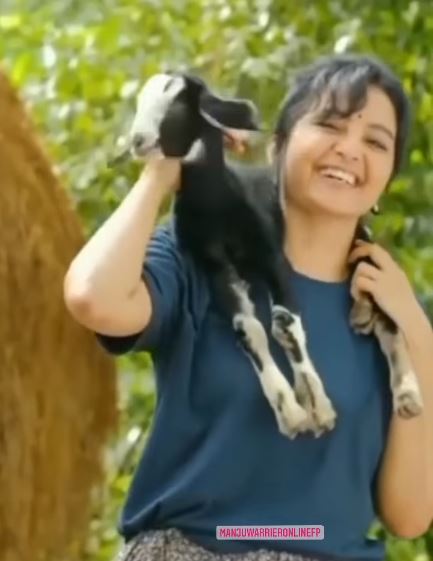 റേഞ്ച് റോവറില്‍ വന്നിറങ്ങി ആട്ടിന്‍കുട്ടിയെ എടുത്ത് തോളിലിട്ട് മഞ്ജു വാര്യർ: വൈറലായി ദൃശ്യങ്ങള്‍