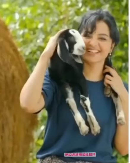 റേഞ്ച് റോവറില്‍ വന്നിറങ്ങി ആട്ടിന്‍കുട്ടിയെ എടുത്ത് തോളിലിട്ട് മഞ്ജു വാര്യർ: വൈറലായി ദൃശ്യങ്ങള്‍