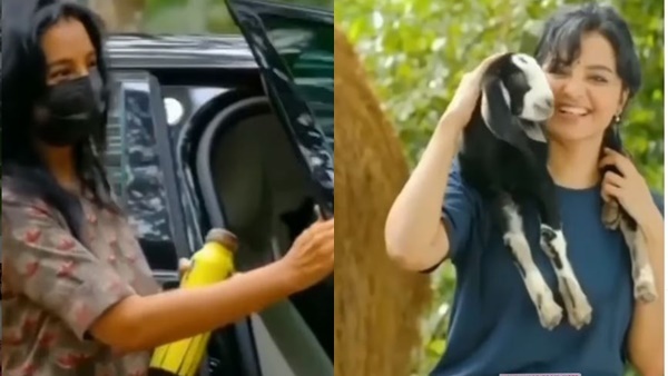 റേഞ്ച് റോവറില്‍ വന്നിറങ്ങി ആട്ടിന്‍കുട്ടിയെ എടുത്ത് തോളിലിട്ട് മഞ്ജു വാര്യർ: വൈറലായി ദൃശ്യങ്ങള്‍