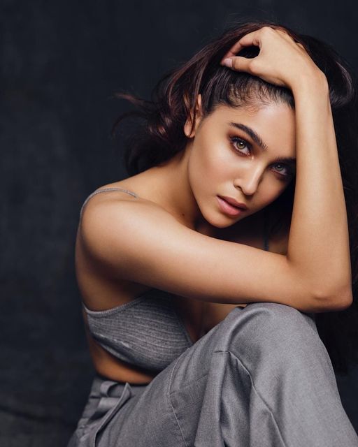Bold अदाओं से शरवरी वाघ ने लगाया ग्लैमर का तड़का, सोशल मीडिया पर वायरल हुईं  Photos
