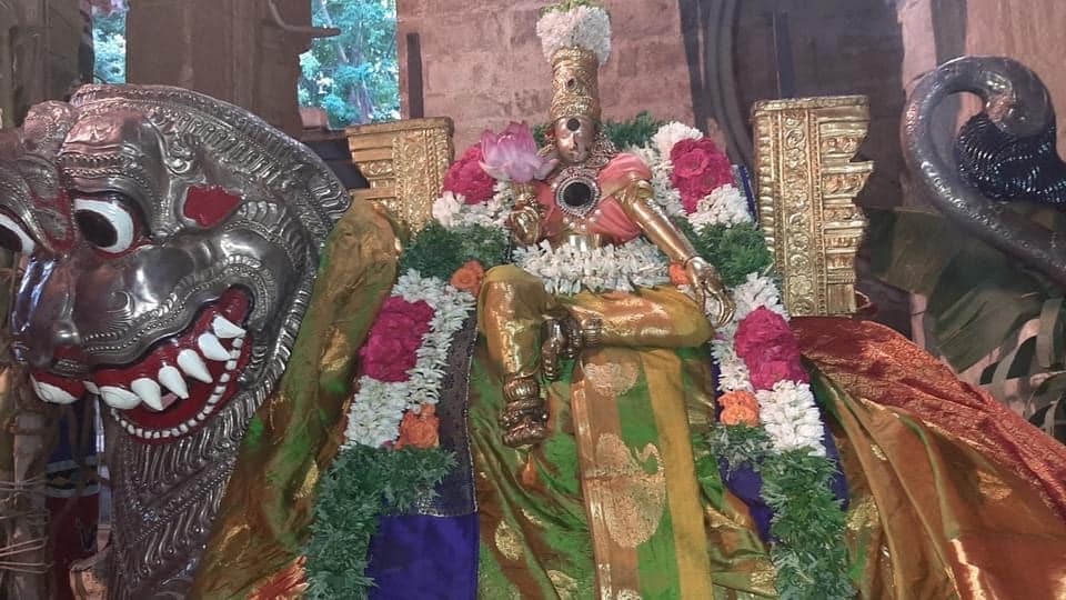 மதுரை மீனாட்சி அம்மன் கோவில் மாசித்திருவிழா - படங்கள்  