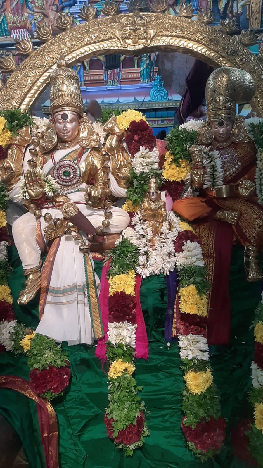 மதுரை மீனாட்சி அம்மன் கோவில் மாசித்திருவிழா - படங்கள்  