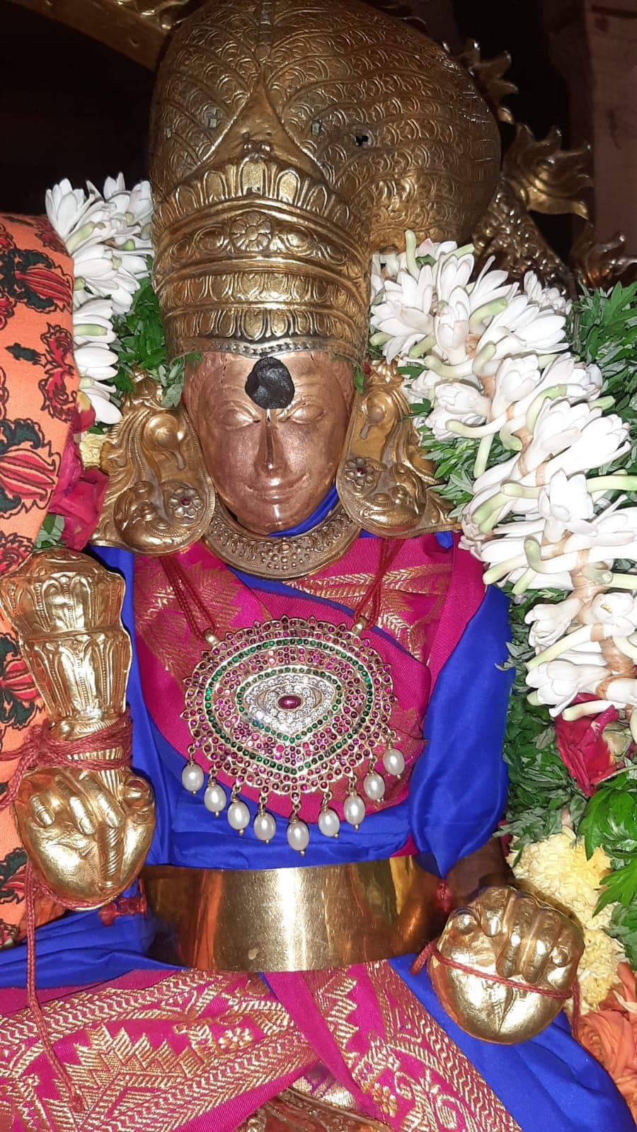மதுரை மீனாட்சி அம்மன் கோவில் மாசித்திருவிழா - படங்கள்  